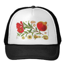 Gammal Pomegranateillustration Mesh Kepsar