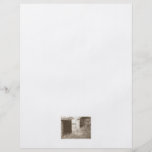 Gammal stuga i skogen. Sepia och white. Personliga Flygblad