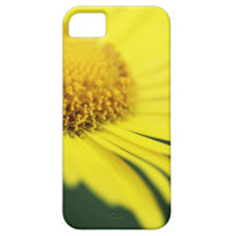 Gämswurzen iPhone 5 Schutzhüllen