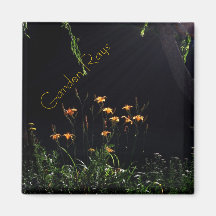 Garden Rays Magnet