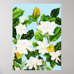 GardeniablåttSky Print