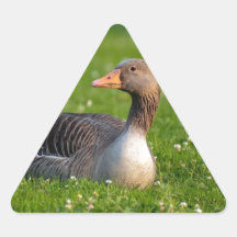 Gås Klistermärken