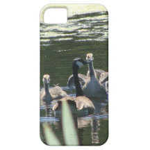 Gåsfamiljsimma iPhone 5 Case-Mate Cases