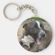 Gäspa hundkeychain nyckel ring