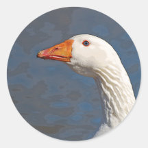 Gåsporträttklistermärke