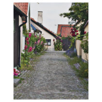 Gata i gammala Visby Sverige