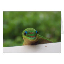 Gecko i tropikernanotecarden kort