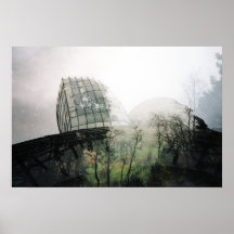 Gehry skog affisch