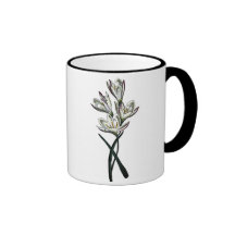Geissorhiza Obtusata 2 Kaffe Kopp