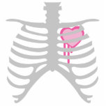 Genomblöt hjärta i Ribcage Cut Out