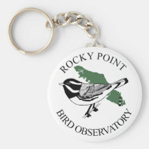 genomskinlig logotyp nyckel ring