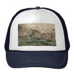 geoffroy-cat-002 trucker kepsar