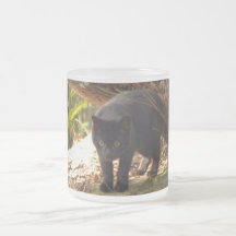 geoffroy-cat-006 kaffe mugg