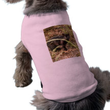 Geoffroy Cat-007 Hund T-shirts