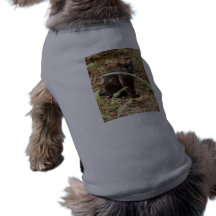 Geoffroy Cat-008 Djur Tshirt