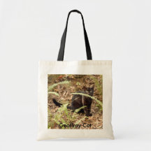 Geoffroy Cat-008, Geoffroy katt Kasse