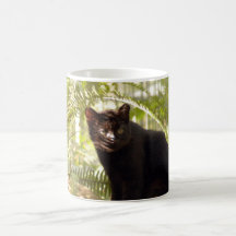 geoffroy-cat-010 mugg