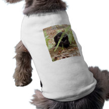 Geoffroy Cat-011 Djur Tshirt
