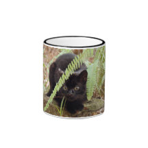 geoffroy-cat-011 kaffe koppar