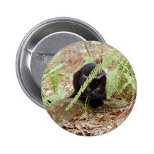 geoffroy-cat-011 nål