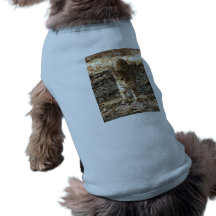 Geoffroy Cat-012 T-shirt För Hundar