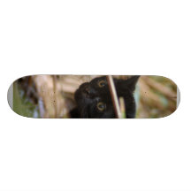 geoffroy-cat-014 skate board decks