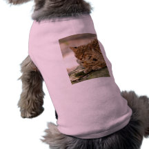 Geoffroy Cat-023 Hund T-shirts