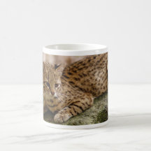 geoffroy-cat-024 kaffe mugg