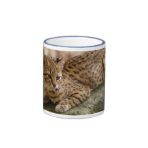 geoffroy-cat-024 mugg