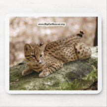 Geoffroy katt Mousepads Mus Mattor