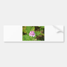 Geranium. för vildrosor bildekal
