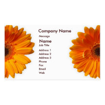Gerber daisyvisitkort