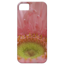 Gerber för fall för iPhone 5 rosa daisy iPhone 5 Case-Mate Cases