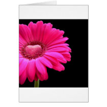 Gerbera med hjärta kort