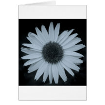 gerberdaisy hälsnings kort