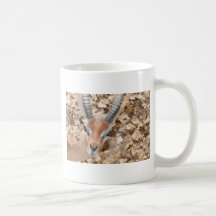Gerenuk Kaffe Muggar