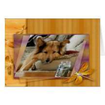 German shepard & slända kort