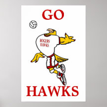 GHawk volleybollaffisch