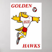 GHawk volleybollaffisch