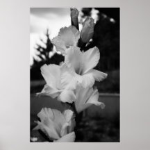 Gifta sig blommaaffischen