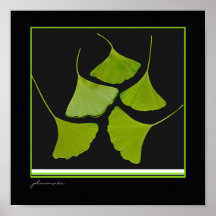 Gingkotryck Affisch