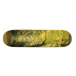 GinkgoBiloba träd Skate Deck