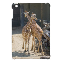 Giraff
