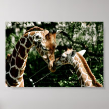 Giraff Affischer