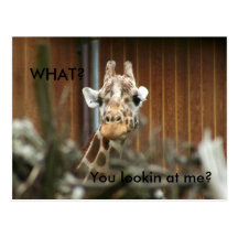 Giraff dig Lookin på mig? Vykort