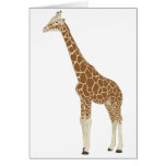 Giraff Kort