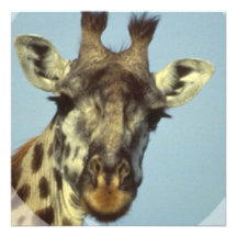 Giraffdesigninbjudningar