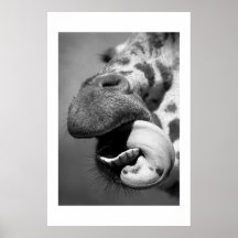 Giraffe#1 Affisch