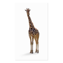 GiraffZoologistvisitkort
