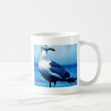 Glacous påskyndade fiskmåsar kaffe kopp